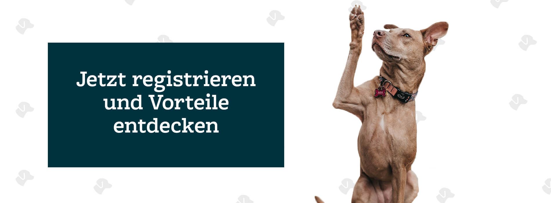 Registrieren Registrieren